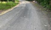Tocht Trail Sainte-Anne - Ste Anne  - Photo 1