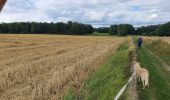 Trail Walking Tinlot - boucle dans les campagnes et bois de Ramelot - Photo 3