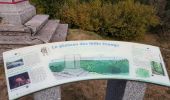 Randonnée Marche Le Thillot - Col des Croix - Vierge des Neiges - Hautes Mines - Tête des Noirs Étangs - Château Lambert - Photo 10