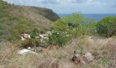 Trail Walking Bellefontaine - Morne  Potain - Mairie Bellefontaine - Photo 3