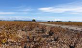 Trail Walking Châteauneuf-du-Pape - Châteauneuf du pape  - Photo 2