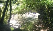 Tour Wandern Cerdon - Cerdon  : La cascade de Fouges (18 km - D. 823 m)  - Photo 5