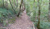 Trail Walking Penne-d'Agenais - La randonnée de Penne d'agenais- Lot et Garonne  - Photo 5