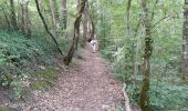 Excursión Senderismo Penne-d'Agenais - La randonnée de Penne d'agenais- Lot et Garonne  - Photo 5