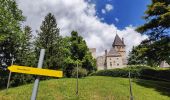 Randonnée A pied Gemeinde Raach am Hochgebirge - Eiben Rundwanderweg (Schlagl) - Photo 10