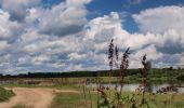 Tour Zu Fuß Anusin - Szlak Bunkrów - Photo 2