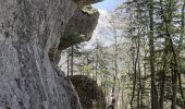 Trail Walking Engins - Pas du curé Pas de la Corne - Photo 9