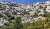 Tour Wandern Saint-Antonin-sur-Bayon - 20220512 la Sainte Victoire - Photo 4