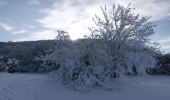 Percorso Racchette da neve Léoncel - Le Grand Echaillon - Les Crêtes de la Sausse - Photo 12