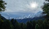 Tocht Stappen Les Houches - J14 - R12 - Les Chavants - Maison Neuve - Photo 4