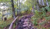 Trail Walking Kranjska Gora - pericnik excursion - Photo 10