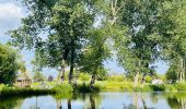 Percorso Marcia Landen - La vallée du ruisseau Mombeek : la réserve naturelle De Beemden à Attenhoven - Photo 10
