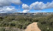 Tocht Stappen Cheval-Blanc - PF-Cheval-Blanc - Autour de Saint Phalez - Photo 9