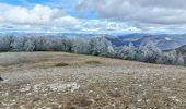 Tocht Mountainbike Bédoin - Randuro sous les sapins blancs - Photo 4