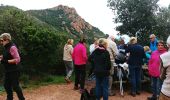 Excursión Senderismo Saint-Raphaël - La grotte Chapelle Saint Honorat - Photo 2