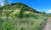 Tocht Noords wandelen Sainte-Anne - Trace des baies cap chevalier - Pointe Marin  - Photo 3