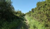 Randonnée Marche Manthelan - Manthelan - le Louroux - via PRs - 20.7km 100m 4h45 (1h) - 2025 04 30 - Photo 17