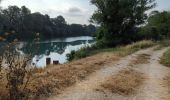 Percorso Bicicletta elettrica Arles - CrinBlanc-Aigurd-Morted - Photo 8
