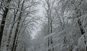 Percorso Marcia Aquisgrana - Aachenerwald ❄️⛄️ - Photo 2