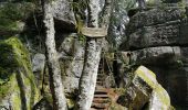 Tour Wandern Rappoltsweiler - boucle la grande verrerie-roche des 3 tables-roche des reptiles-roche des géants-la grande verrerie  - Photo 6