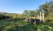 Tour Wandern Hohenfels - rando nadrin 10-09-2023 - Photo 3