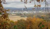 Randonnée Marche Castillon - CC_Velay_FD_27_Castillon_Sauvelade_20081112 - Photo 4