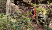 Trail Walking Angomont - col de la chapelotte - Sentier de mémoire 14-18 - Photo 2