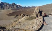 Tour Zu Fuß La Orotava - S-9 Sendero Teide-Pico Viejo–Mirador de las Narices del Teide - Photo 8