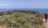 Trail Walking La Ciotat - Arche de la Ciotat  - Photo 3