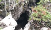 Tour Wandern Lans-en-Vercors - Lans en Vercors - Les Ramées - Trou St Michel - Photo 4