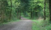 Trail On foot Aachen - GrenzRouten: Route 5 - Aachener Wald - Photo 2