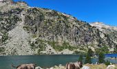 Tocht Stappen Saint-Lary-Soulan - boucle lac d'oredon, les laquettes, lac d'Aubert, lac d'aumar  - Photo 12