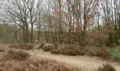 Trail On foot Maasmechelen - Mechelse Heide Blauwe ruit - Photo 8