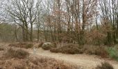 Tocht Te voet Maasmechelen - Mechelse Heide Groene rechthoek - Photo 10