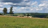 Trail Walking Bouillon - rando rochehaut 18/06/2020 - Photo 8