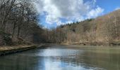 Excursión Senderismo Jalhay - Lac de la Gileppe - Limbourg (boucle 14km) - Photo 2