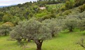 Trail Walking Aups - Aups - Grottes - Croix des Pins - Col de Besc - Photo 4