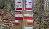Trail Walking Voeren - Veurbos - Roodbos - Photo 4