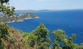 Excursión Senderismo Cavalaire-sur-Mer - CAVALAIRE  - Photo 1