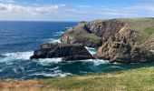 Randonnée Marche Cléden-Cap-Sizun - Pointe du Van - Photo 6