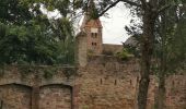 Trail Walking Wissembourg - Gr5J1 - Photo 8