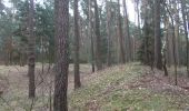 Trail On foot Rohr - Rund um Regelsbach - Photo 2