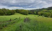 Excursión Senderismo Neupré - Autour de Houte-Si-Plou - Photo 10