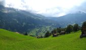 Randonnée A pied Grindelwald - Holewang - fixme - Photo 6