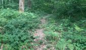 Trail Walking Bruyères-le-Châtel - R2 a Roche Turpin - Photo 4