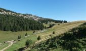 Randonnée Marche Glières-Val-de-Borne - BARGY: CENISE - LAC DE LESSY - Photo 2