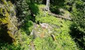 Trail Walking La Bresse - Kastelberg des pierres, des lacs, des panoramas magnifiques  - Photo 13