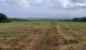 Trail Walking Basse-Pointe - Boucle Habitations  Gradis et  Hackaert - Photo 2