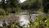 Tocht Stappen Saint-Paul-en-Forêt - meaulx gilles - Photo 4