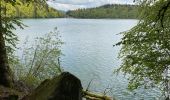 Tour Wandern Besse-et-Saint-Anastaise - Tour du Lac Pavin - Photo 13